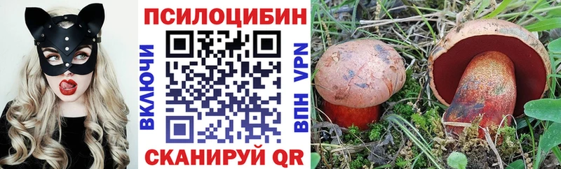 дарк нет наркотические препараты  Гаджиево  Галлюциногенные грибы мицелий 