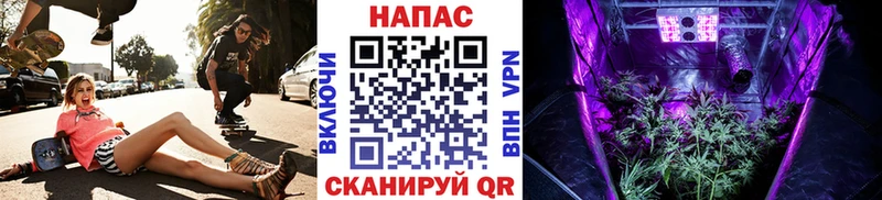Каннабис Amnesia  даркнет сайт  Гаджиево 
